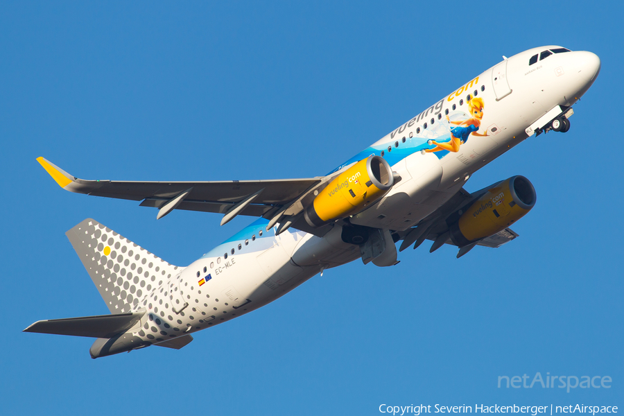 Vueling Airbus A320-232 (EC-MLE) | Photo 210664
