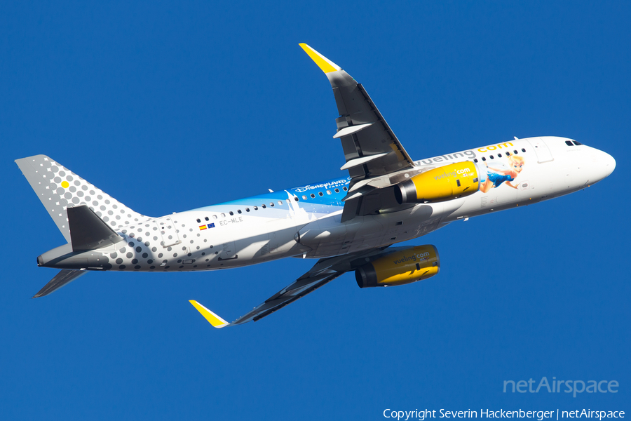 Vueling Airbus A320-232 (EC-MLE) | Photo 210665