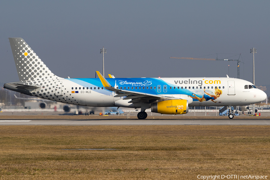 Vueling Airbus A320-232 (EC-MLE) | Photo 233182