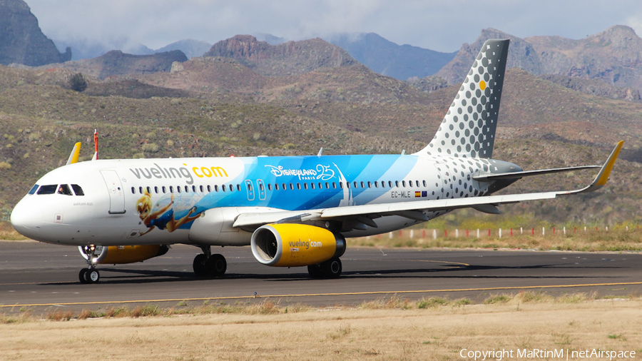 Vueling Airbus A320-232 (EC-MLE) | Photo 335673