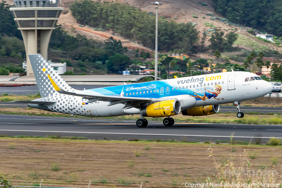 Vueling Airbus A320-232 (EC-MLE) | Photo 528515