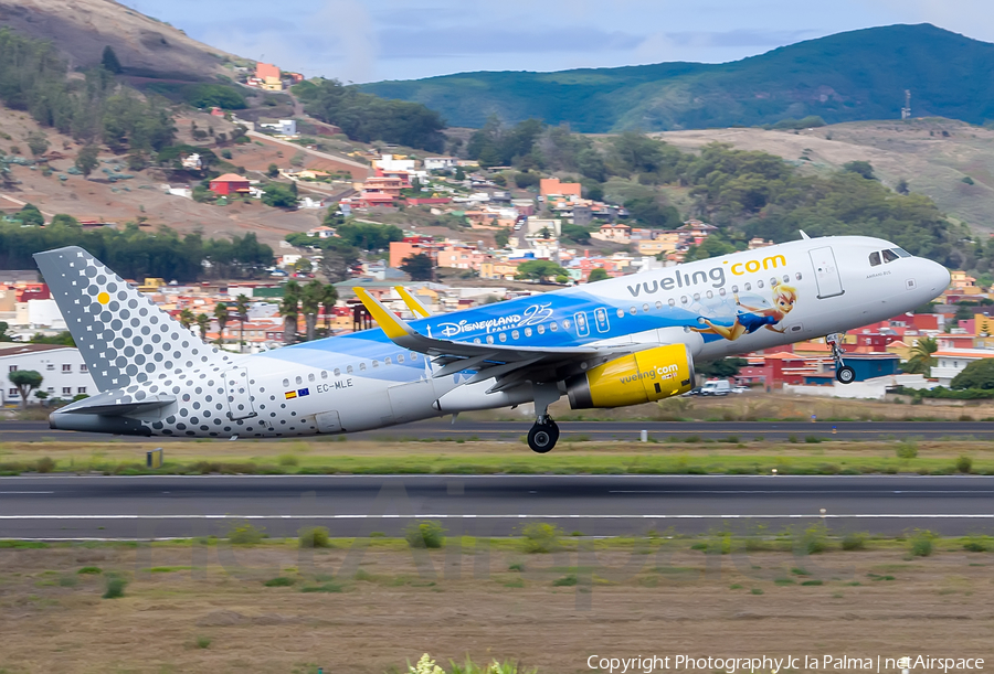 Vueling Airbus A320-232 (EC-MLE) | Photo 529840