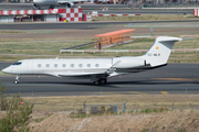 TAG Aviation Spain Gulfstream G650 (EC-MLR) at  Madrid - Barajas, Spain