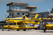 Avialsa Air Tractor AT-802F (EC-MRU) at  Vila Real, Portugal