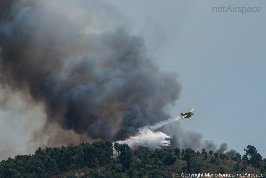 Avialsa Air Tractor AT-802F (EC-MRU) | Photo 395974