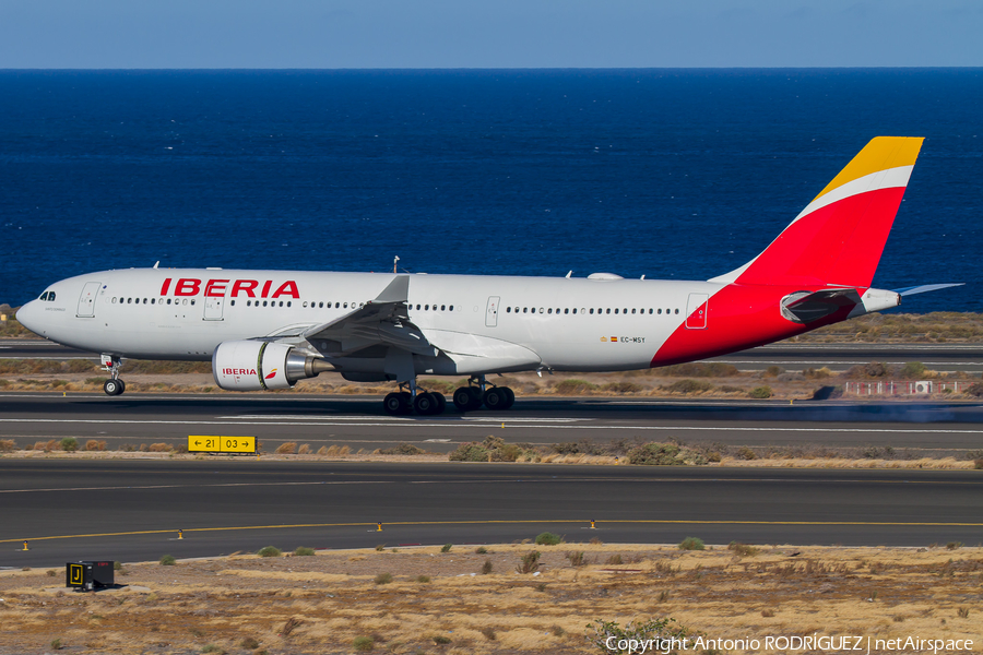Iberia Airbus A330-202 (EC-MSY) | Photo 334941