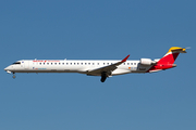 Iberia Regional (Air Nostrum) Bombardier CRJ-1000 (EC-MTZ) at  Madrid - Barajas, Spain