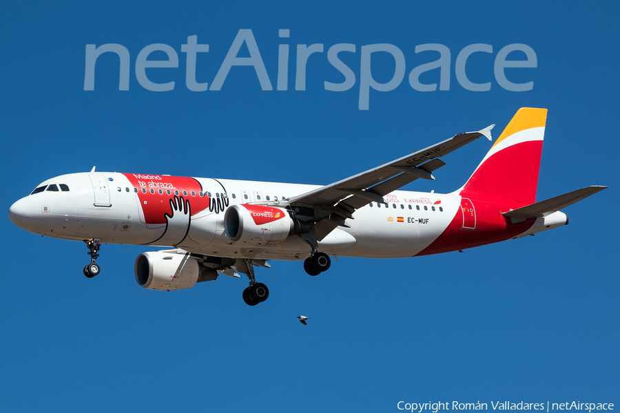 Iberia Airbus A320-214 (EC-MUF) | Photo 336636