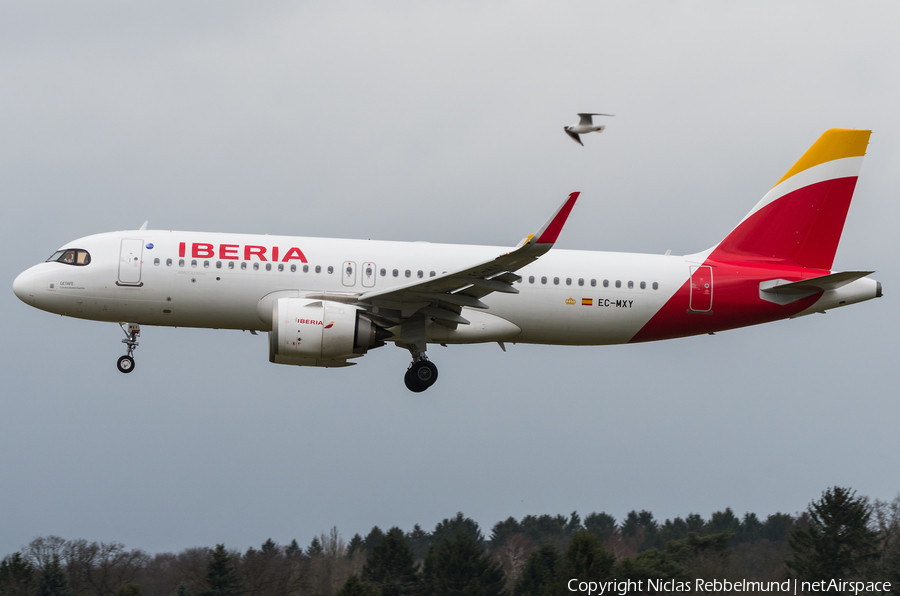 Iberia Airbus A320-251N (EC-MXY) | Photo 302228