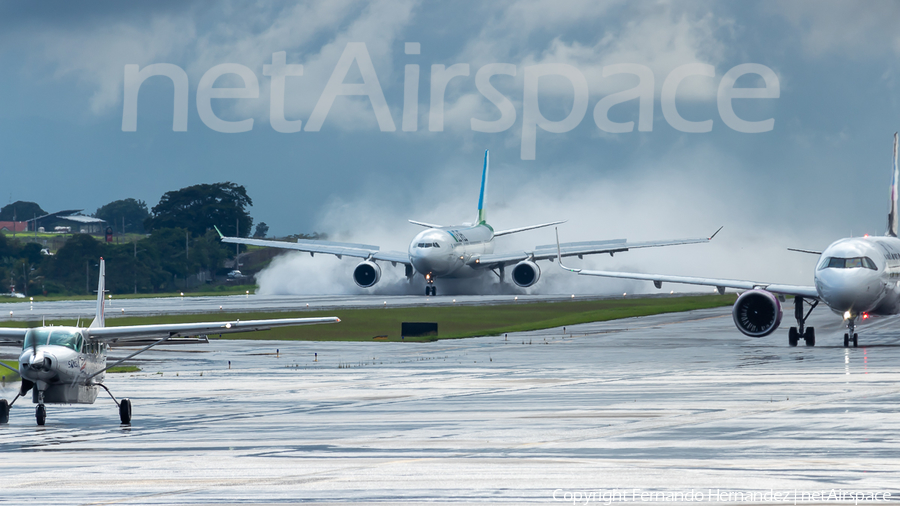Level Airbus A330-202 (EC-MYA) | Photo 593939