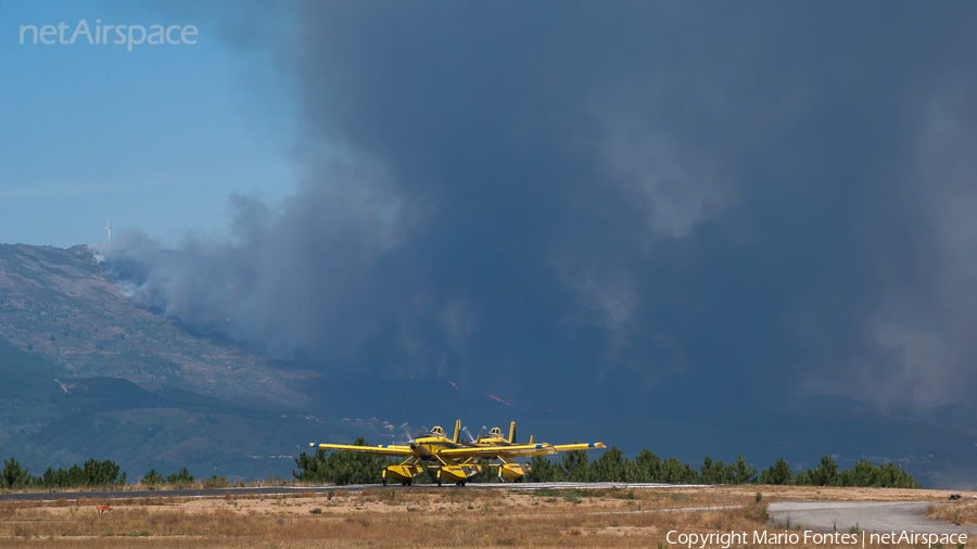 Portugal Civil Protection Air Tractor AT-802AF Fire Boss (EC-MYG) | Photo 524127