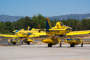 Portugal Civil Protection Air Tractor AT-802AF Fire Boss (EC-MYG) at  Vila Real, Portugal