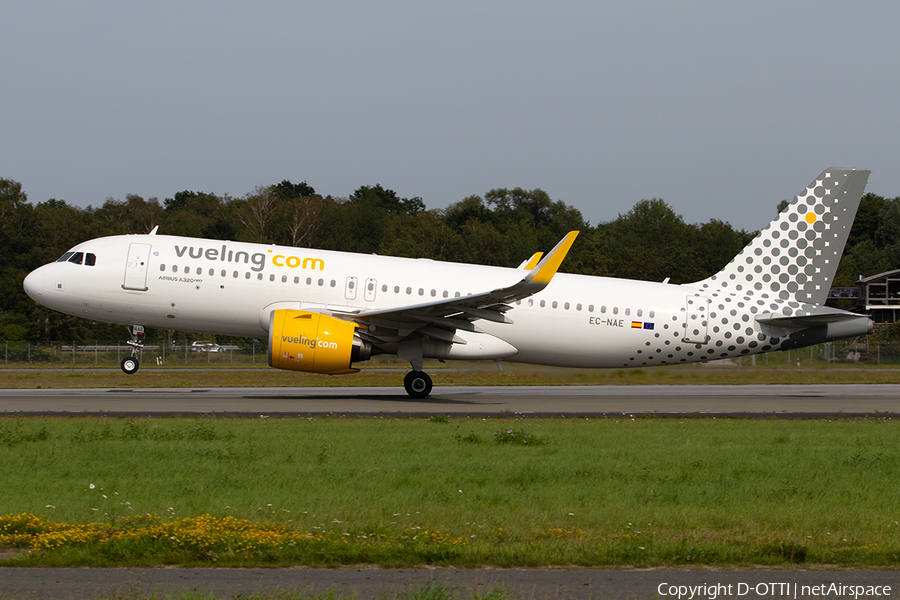 Vueling Airbus A320-271N (EC-NAE) | Photo 344007