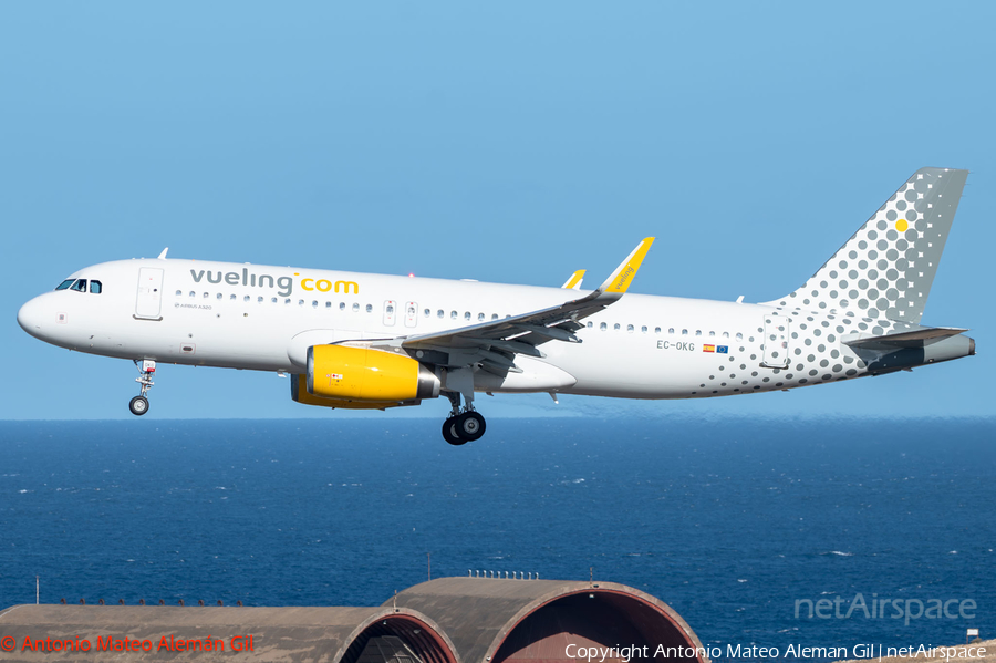 Vueling Airbus A320-232 (EC-OKG) | Photo 680472