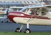 (Private) Cessna 140 (EI-AEM) at  Newtownards, United Kingdom