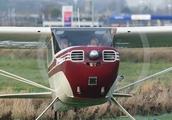 (Private) Cessna 140 (EI-AEM) at  Newtownards, United Kingdom