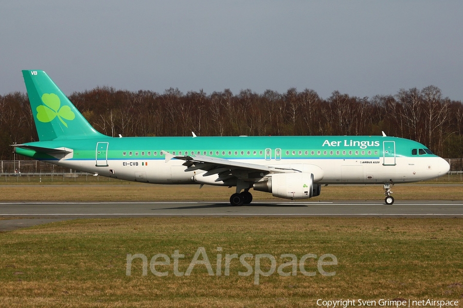Aer Lingus Airbus A320-214 (EI-CVB) | Photo 15136