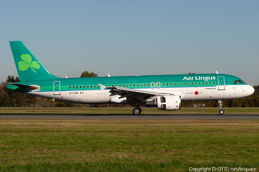 Aer Lingus Airbus A320-214 (EI-CVB) | Photo 318384