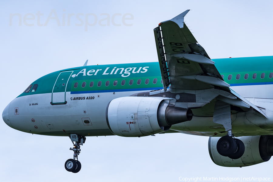 Aer Lingus Airbus A320-214 (EI-CVB) | Photo 245653