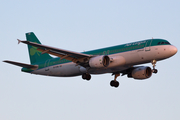 Aer Lingus Airbus A320-214 (EI-CVB) at  London - Heathrow, United Kingdom
