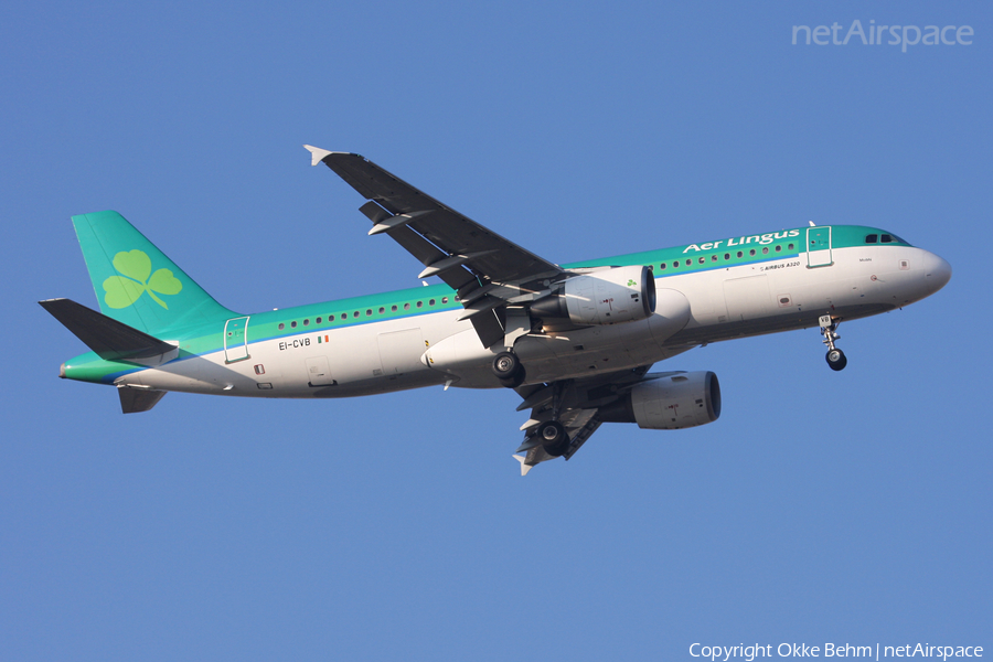 Aer Lingus Airbus A320-214 (EI-CVB) | Photo 37388