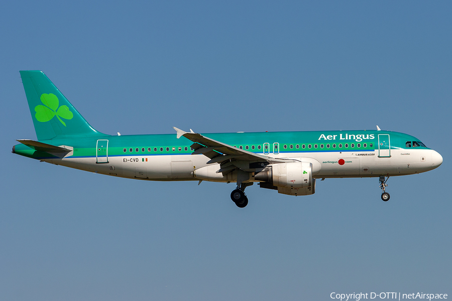 Aer Lingus Airbus A320-214 (EI-CVD) | Photo 304598