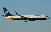 Ryanair Boeing 737-8AS (EI-DAM) at  Luqa - Malta International, Malta