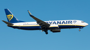 Ryanair Boeing 737-8AS (EI-DAP) at  Frankfurt am Main, Germany