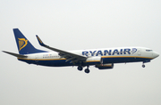 Ryanair Boeing 737-8AS (EI-DAR) at  Brussels - International, Belgium