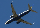 Ryanair Boeing 737-8AS (EI-DAR) at  Pisa - Galileo Galilei, Italy