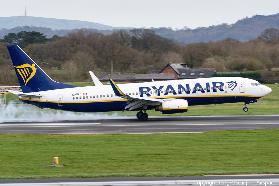 Ryanair Boeing 737-8AS (EI-DAS) | Photo 469579