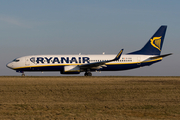 Ryanair Boeing 737-8AS (EI-DCB) at  Frankfurt - Hahn, Germany