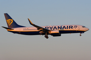 Ryanair Boeing 737-8AS (EI-DCJ) at  Amsterdam - Schiphol, Netherlands