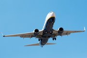 Ryanair Boeing 737-8AS (EI-DCJ) at  Gran Canaria, Spain