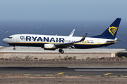 Ryanair Boeing 737-8AS (EI-DCK) at  Tenerife Sur - Reina Sofia, Spain