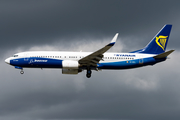 Ryanair Boeing 737-8AS (EI-DCL) at  Frankfurt am Main, Germany