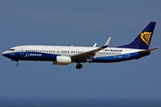 Ryanair Boeing 737-8AS (EI-DCL) at  Gran Canaria, Spain