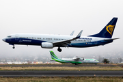 Ryanair Boeing 737-8AS (EI-DCL) at  Tenerife Norte - Los Rodeos, Spain