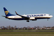 Ryanair Boeing 737-8AS (EI-DCP) at  Amsterdam - Schiphol, Netherlands