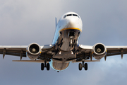 Ryanair Boeing 737-8AS (EI-DCP) at  Tenerife Sur - Reina Sofia, Spain