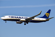 Ryanair Boeing 737-8AS (EI-DCR) at  Frankfurt am Main, Germany