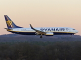 Ryanair Boeing 737-8AS (EI-DCX) at  Cologne/Bonn, Germany