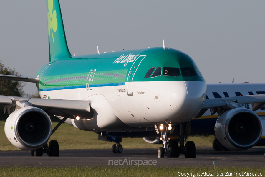 Aer Lingus Airbus A320-214 (EI-DEA) | Photo 162271