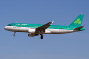 Aer Lingus Airbus A320-214 (EI-DEA) at  Frankfurt am Main, Germany