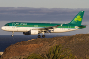 Aer Lingus Airbus A320-214 (EI-DEB) at  Gran Canaria, Spain