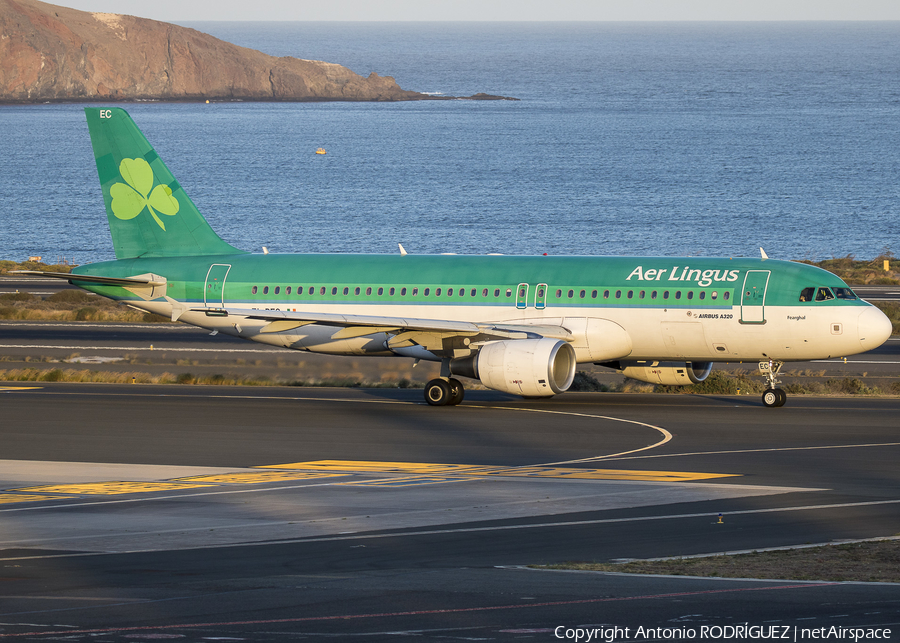 Aer Lingus Airbus A320-214 (EI-DEC) | Photo 292790