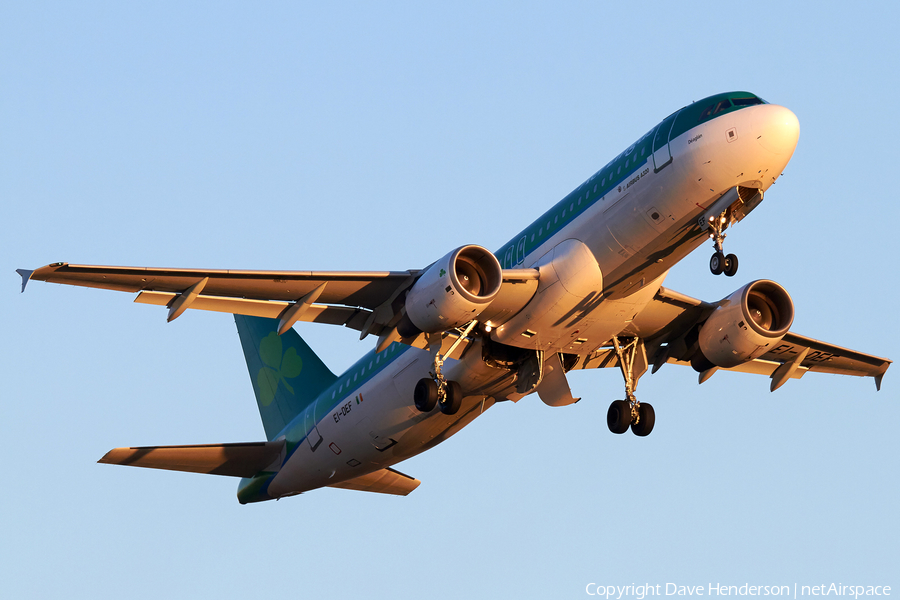 Aer Lingus Airbus A320-214 (EI-DEF) | Photo 23643