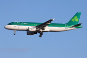 Aer Lingus Airbus A320-214 (EI-DEF) at  London - Heathrow, United Kingdom