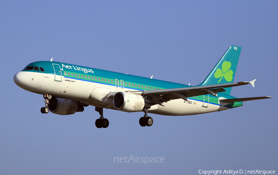 Aer Lingus Airbus A320-214 (EI-DEG) | Photo 355399