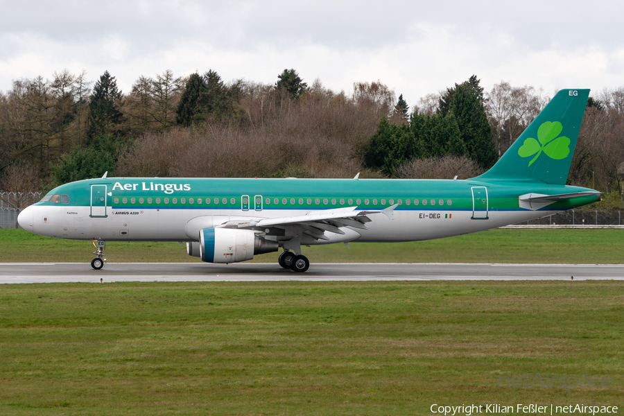 Aer Lingus Airbus A320-214 (EI-DEG) | Photo 563342